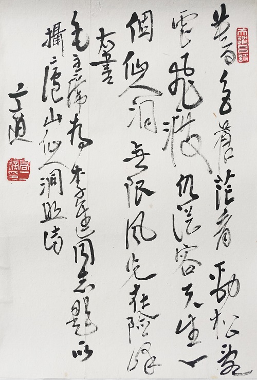 高二适书法《为李进同志题所摄庐山仙人洞照》